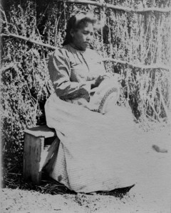 OP 15362-785 Maria Antonia, Mesa Grande, 1907
